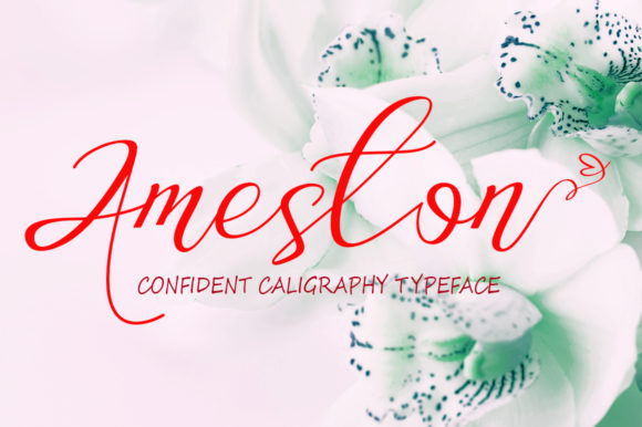 Ameston: A Font for Creative Campaigns