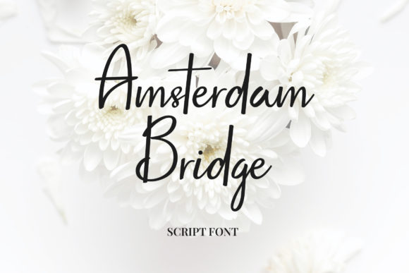 Amsterdam Bridge: A Elegant Script for Branding