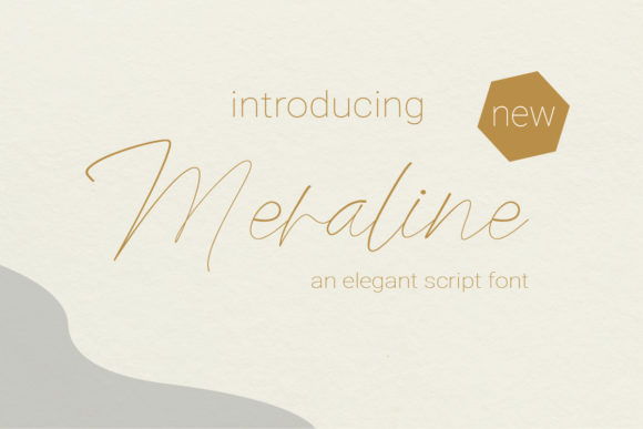 Meraline: A Script Amp for Real Design Work